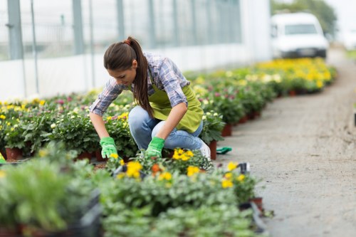 Garden maintenance terms and conditions introduction