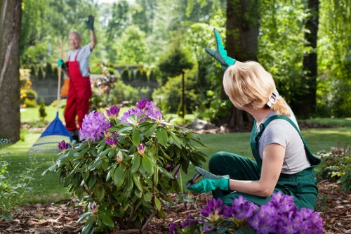 Transparent pricing for North Sheen garden services and waste removal
