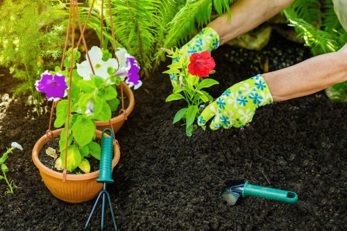 Graphic showing screen-reader friendly website structure for gardening services