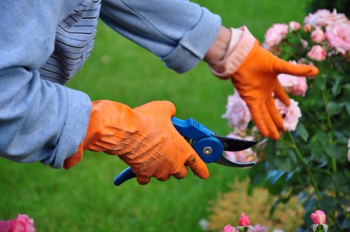 Gardeners North Sheen team working safely in a private garden