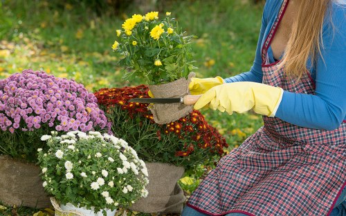 North Sheen gardening team working on seasonal plant and lawn maintenance