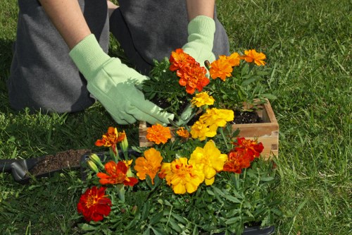 Experienced gardeners shaping a healthy and attractive North Sheen garden