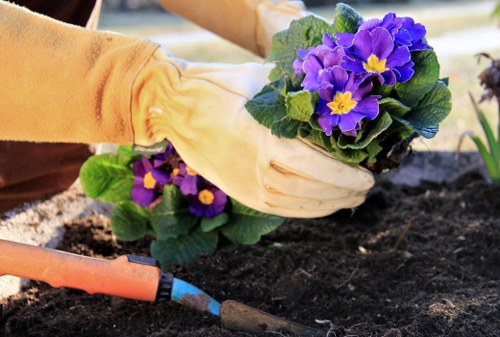 Gardeners North Sheen reporting and review image four