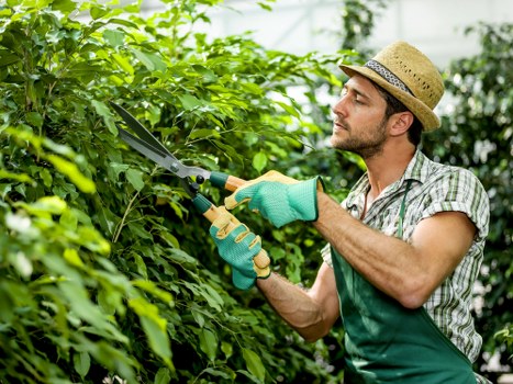 Safe bank transfer option for Gardeners North Sheen services