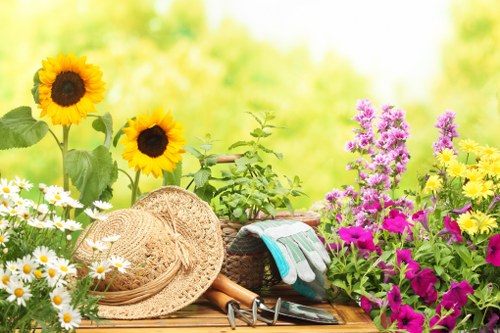 Professional garden tidy-up and clearance in North Sheen
