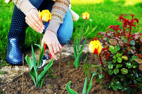 Low-carbon van used for sustainable garden maintenance