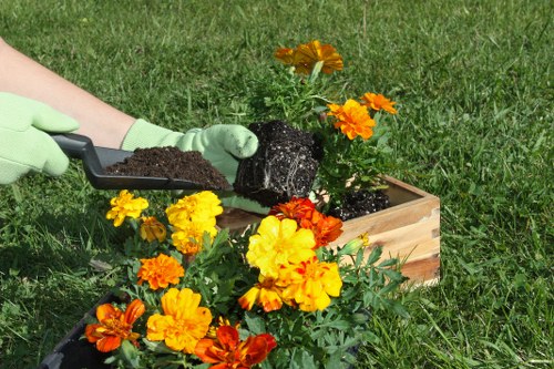 Local garden care in North Sheen focused on pruning, planting, and tidy spaces