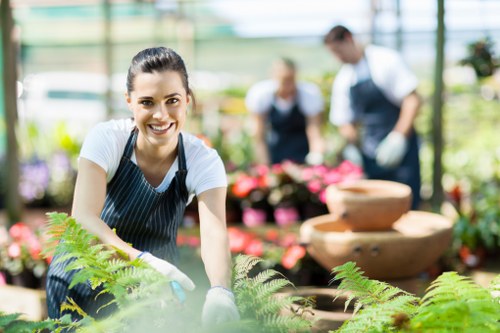 North Sheen garden border planting and lawn care