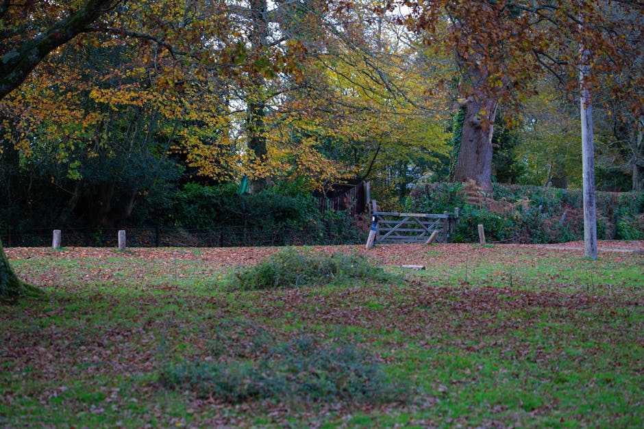 A peaceful garden scene during autumn featuring a lush green lawn with fallen leaves scattered across the surface. In the background, mature trees with branches extending over the garden display folia